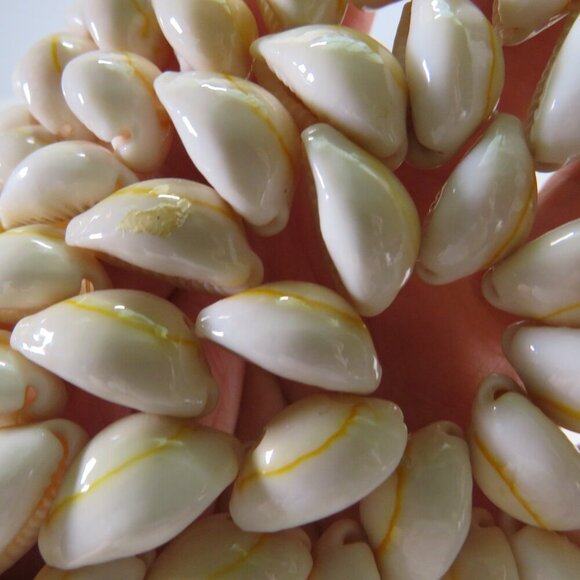 Carib Cowrie Seashell Trivet Octagon Handmade Philippines 10" - Picture 4 of 6